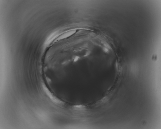 X0000114180053200910221722