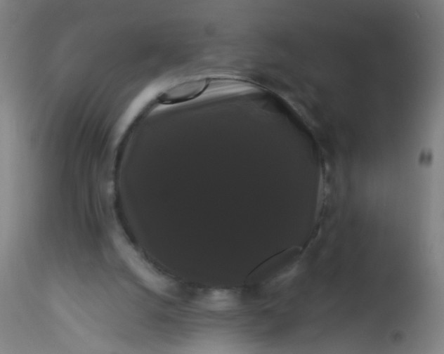 X0000114180056200910221722