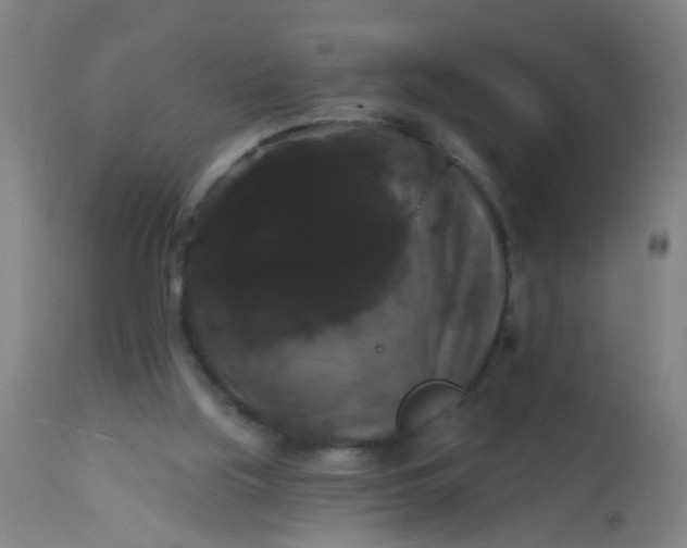 X0000114180059200910221722