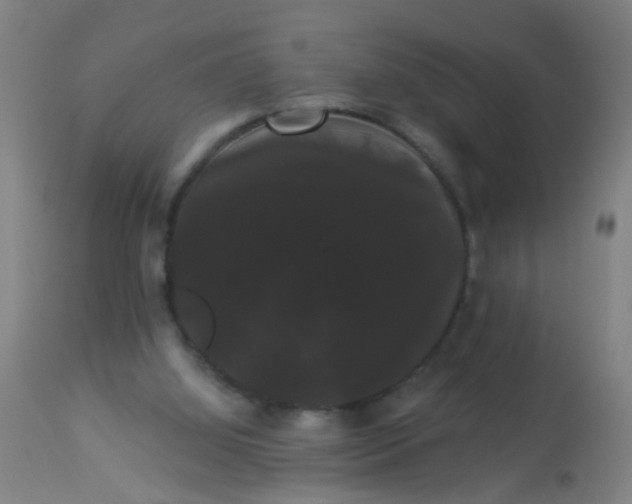 X0000114180060200910221722