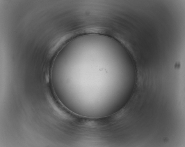 X0000114180062200910221722