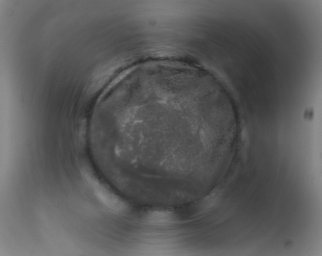 X0000114180066200910221722