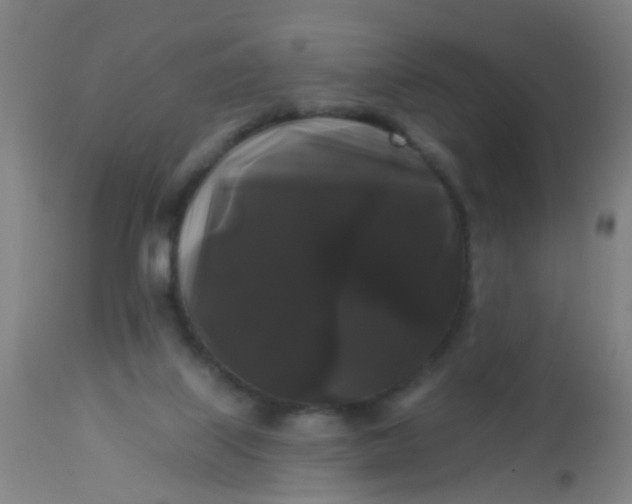 X0000114180067200910221722