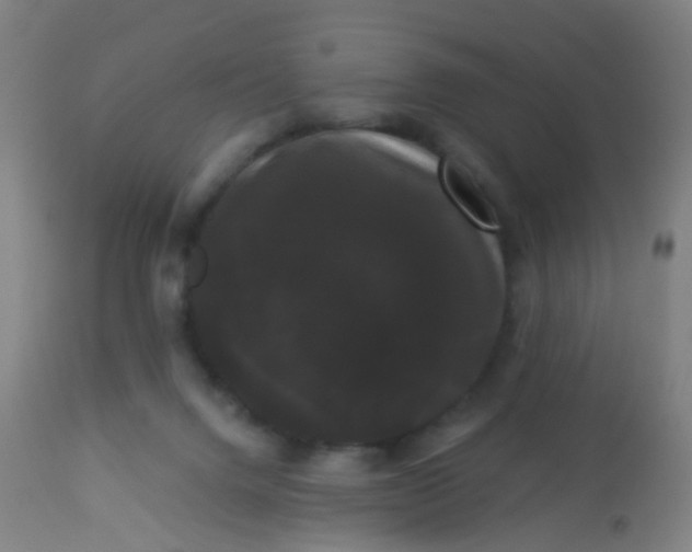 X0000114180072200910221722