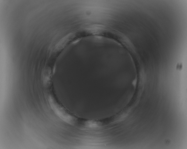 X0000114180073200910221722