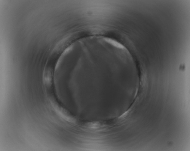 X0000114180074200910221722