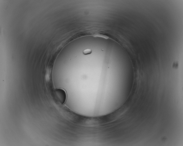 X0000114180075200910221722