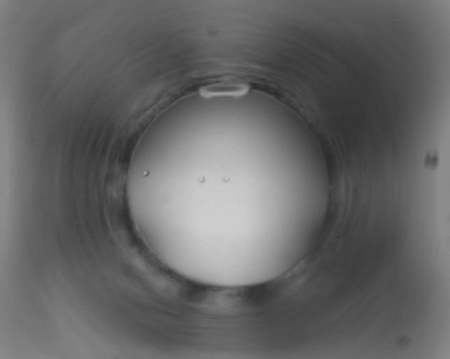 X0000114180078200910221722