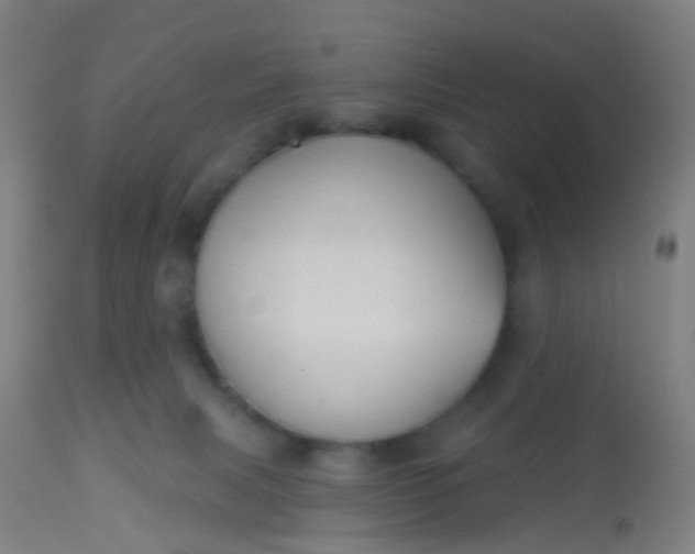 X0000114180079200910221722