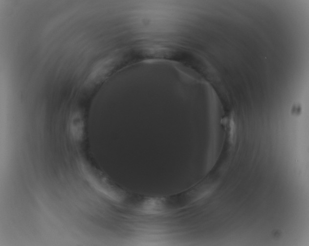 X0000114180080200910221722