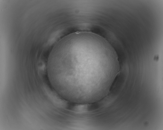 X0000114180084200910221722