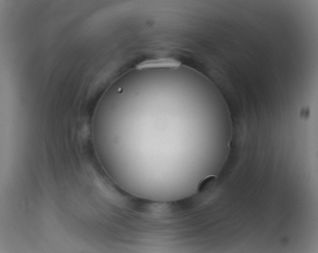 X0000114180085200910221723