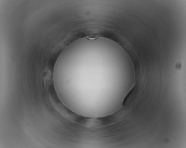 X0000114180087200910221723