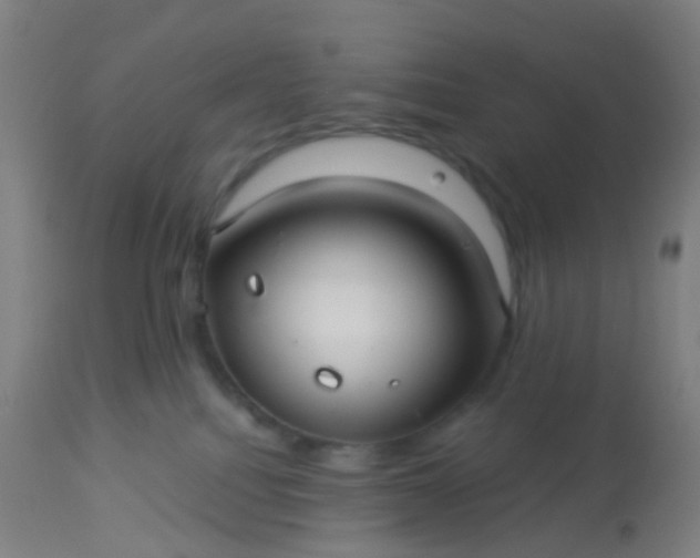 X0000114180088200910221723