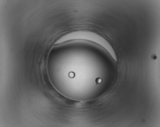 X0000114180092200910221723