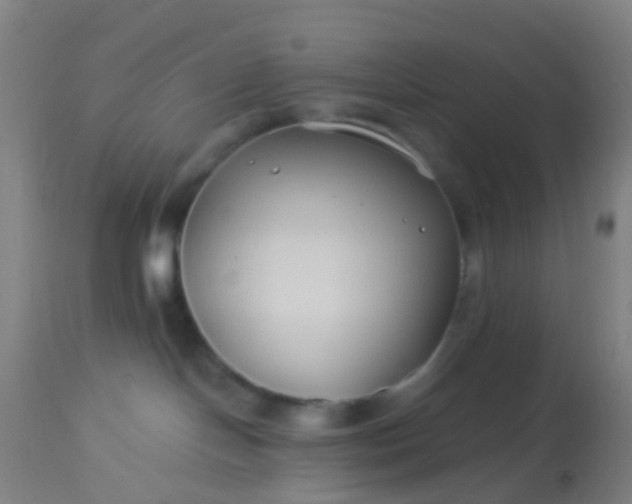 X0000114180094200910221723