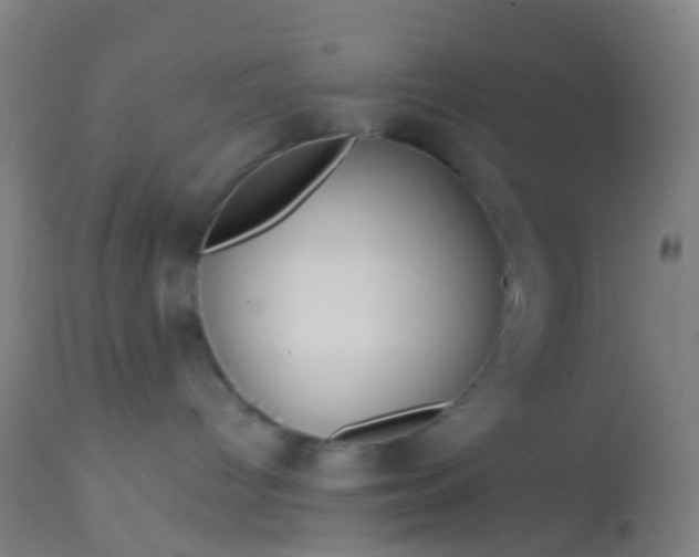 X0000114180096200910221723