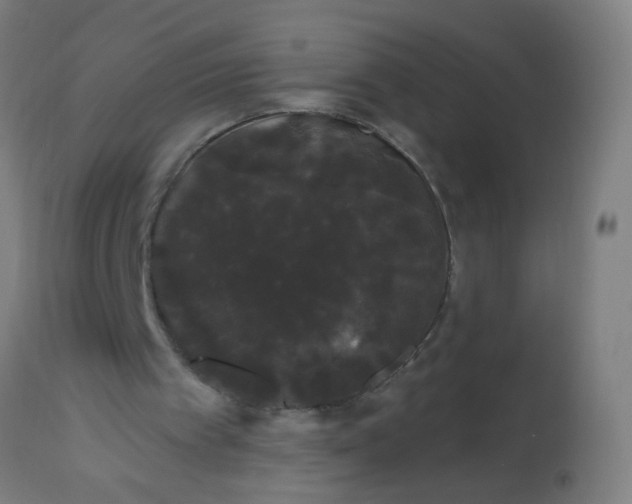 X0000114180097200910221722