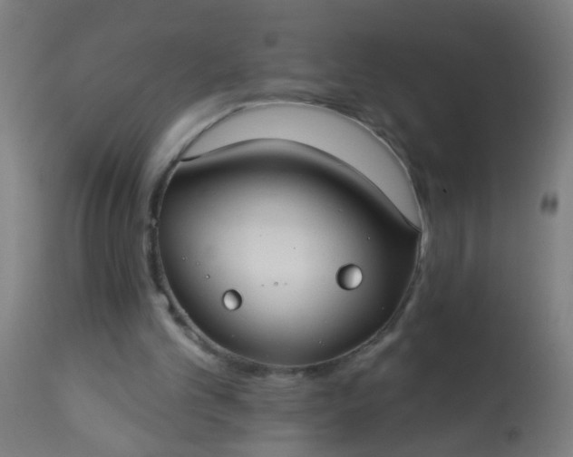 X0000114180101200910221722