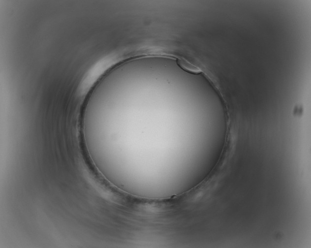 X0000114180103200910221722