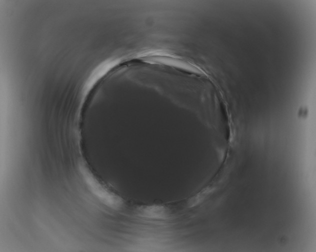 X0000114180104200910221722