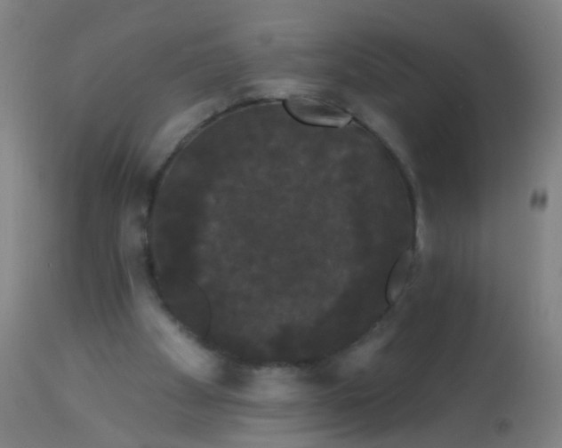 X0000114180105200910221722