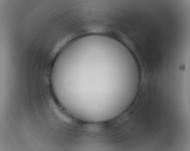 X0000114180106200910221722