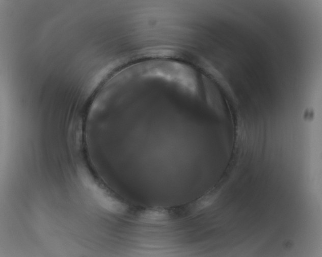 X0000114180110200910221722