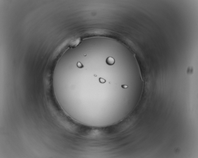 X0000114180111200910221722