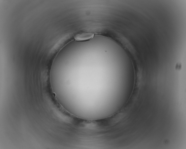 X0000114180113200910221722