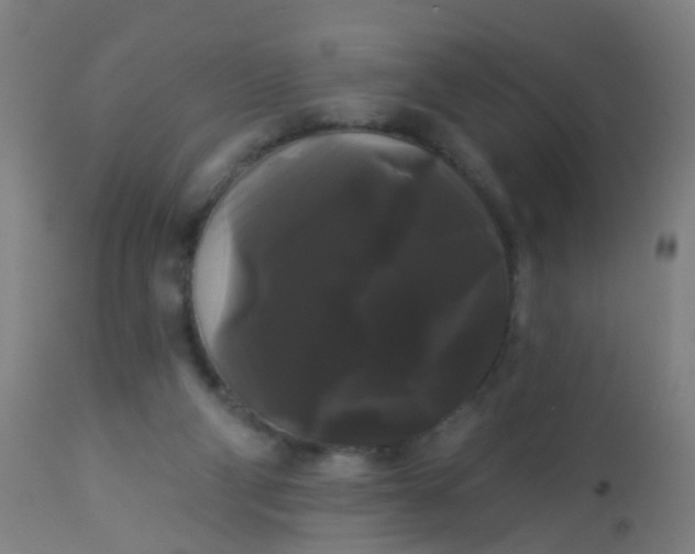 X0000114180114200910221722