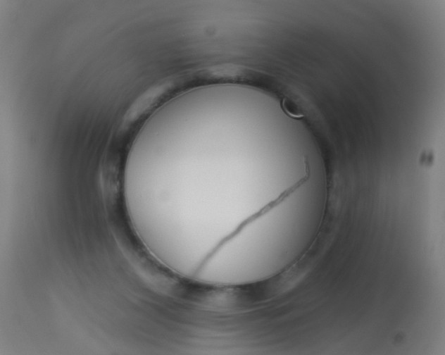 X0000114180116200910221722