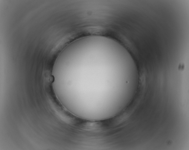 X0000114180117200910221722