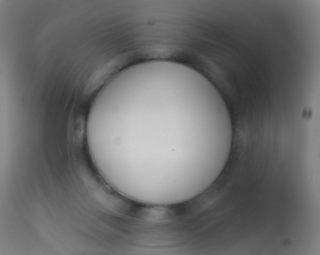 X0000114180118200910221722