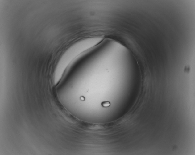 X0000114180125200910221722