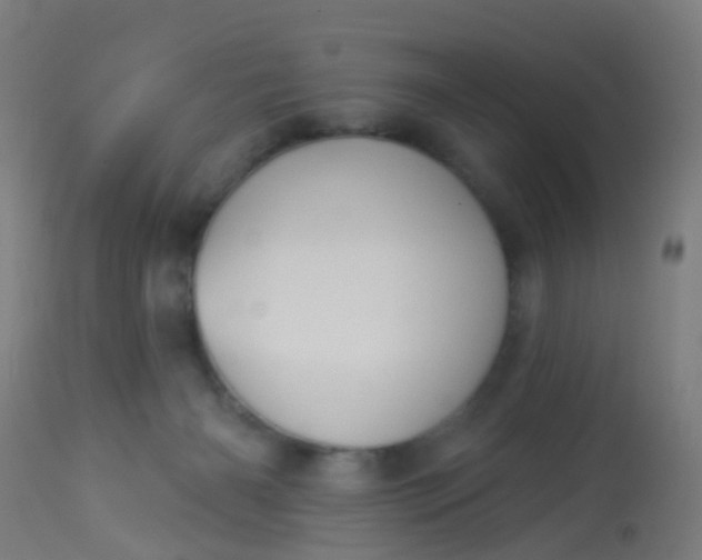 X0000114180126200910221722