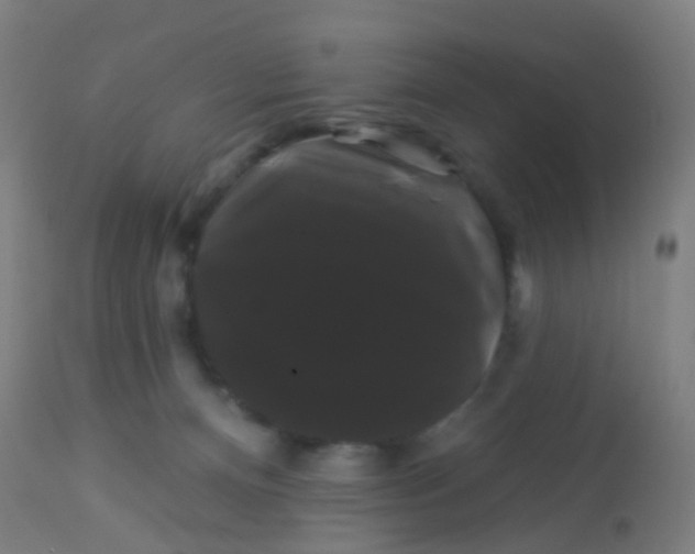 X0000114180128200910221722