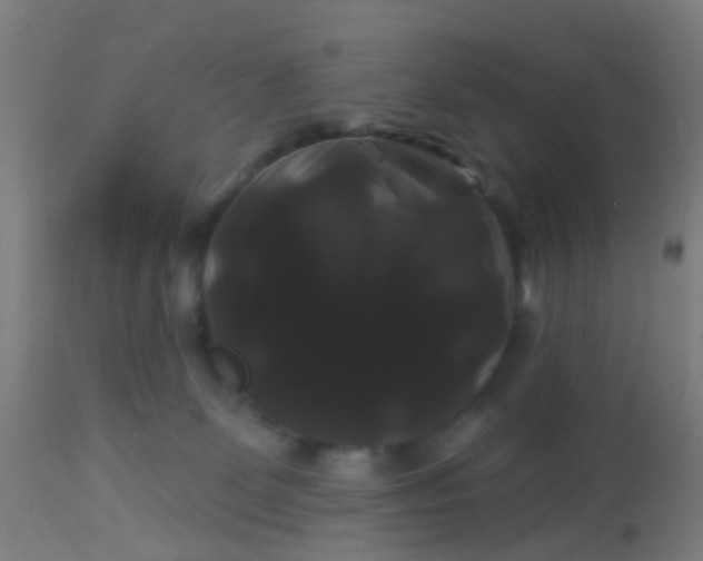 X0000114180131200910221722