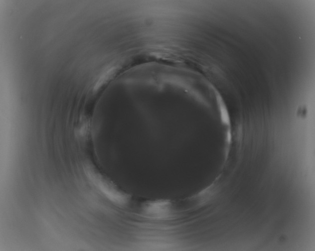 X0000114180132200910221722