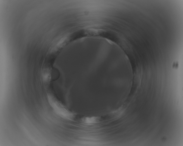 X0000114180134200910221721