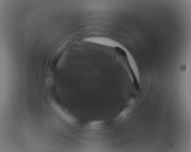 X0000114180136200910221721