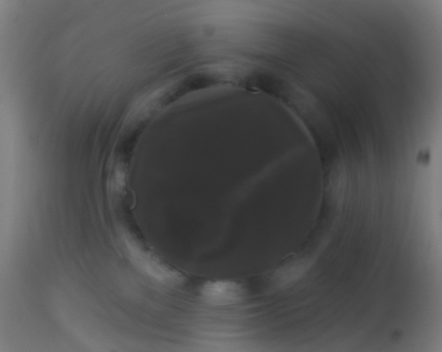 X0000114180137200910221721