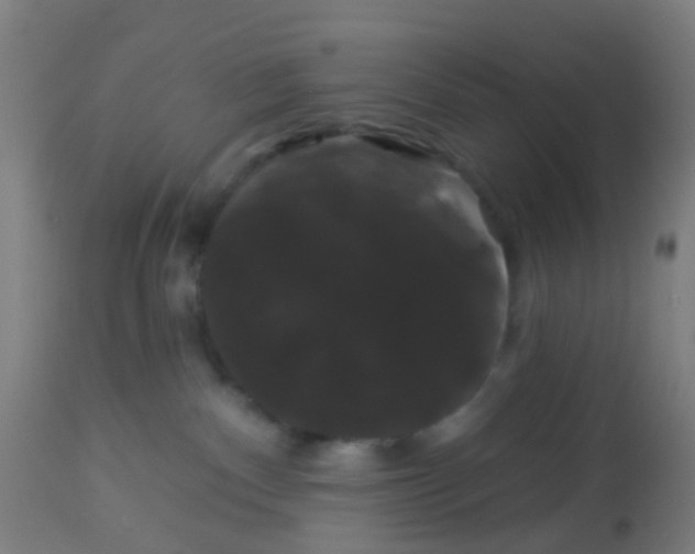 X0000114180140200910221721