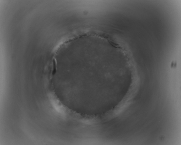 X0000114180144200910221721