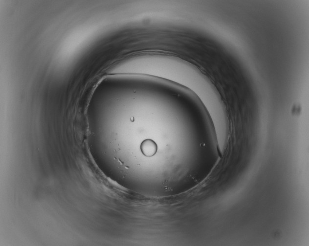 X0000114180146200910221721