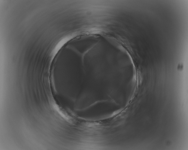 X0000114180147200910221721