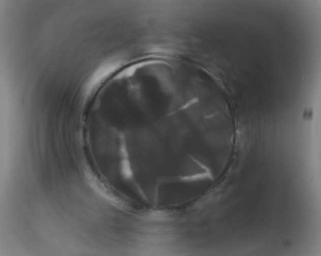 X0000114180149200910221721