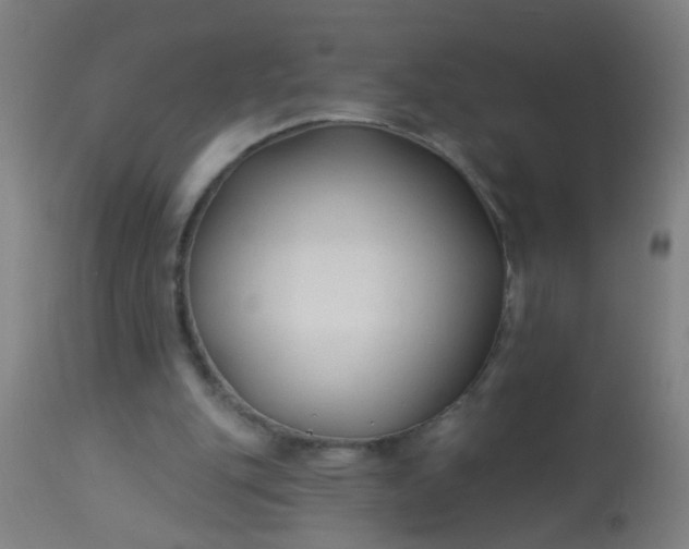 X0000114180151200910221721