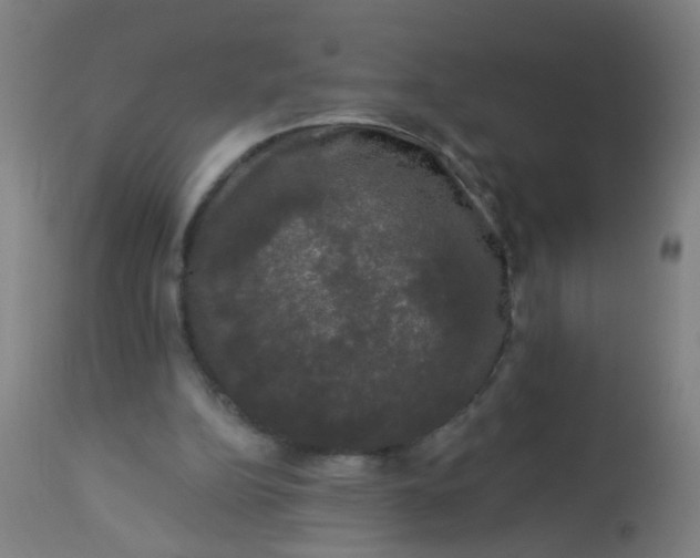 X0000114180152200910221721