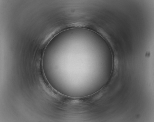 X0000114180153200910221721